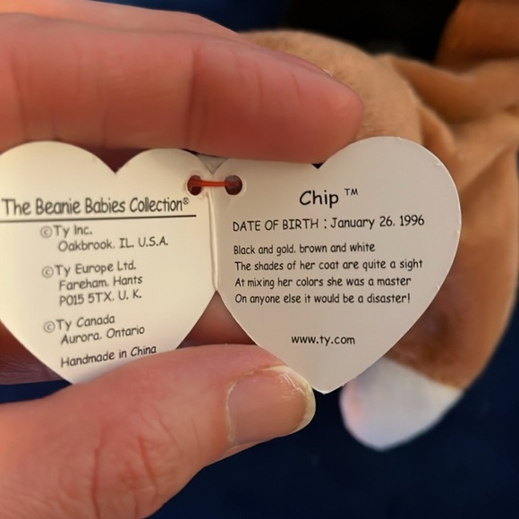 Ty Beanie Baby Chip - Picture 3 of 6